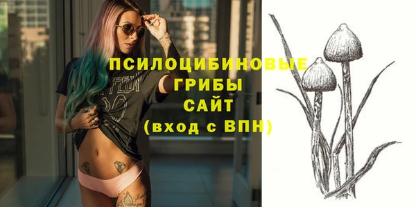 ГАЛЛЮЦИНОГЕННЫЕ ГРИБЫ Беломорск