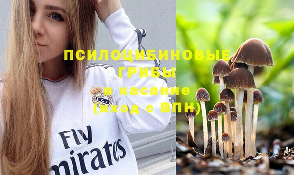амфетамин Богородицк