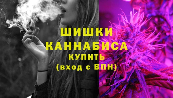 гидра Бородино