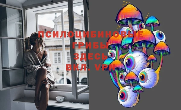 амфетамин Богородицк