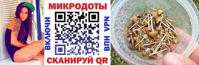 Галлюциногенные грибы мицелий Бутурлиновка